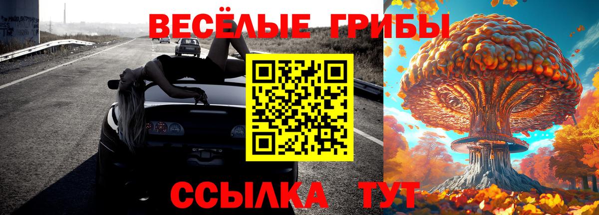 Галлюциногенные грибы Magic Shrooms  Вход с VPN  Галлюциногенные грибы MAGIC MUSHROOMS  Лесозаводск 
